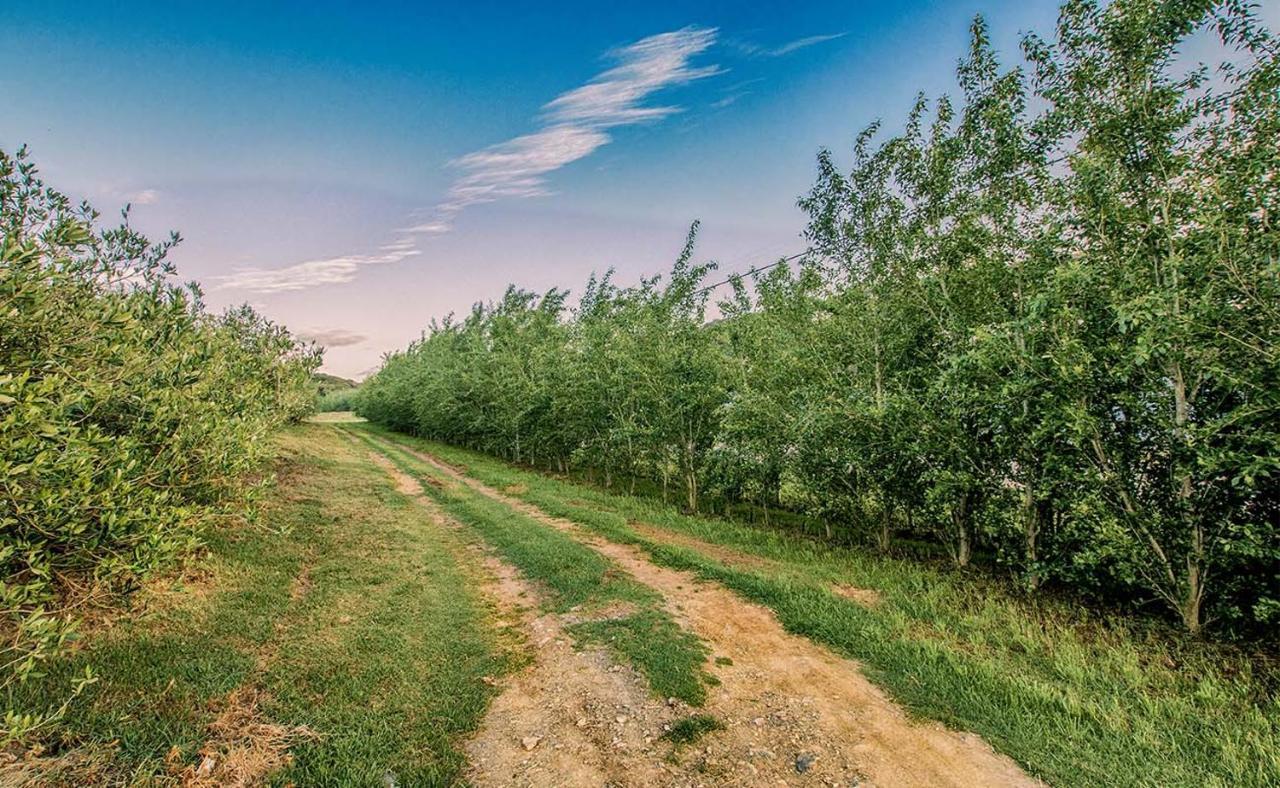 Oudewerfskloof Olive Farm Villa Stilbaai Buitenkant foto